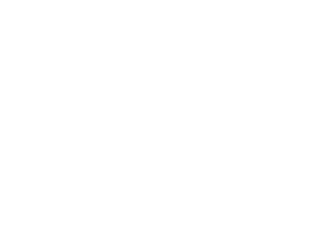 Yanmar Logo White